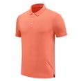 thumbnail image 2 of Zoeecloth Men's T Shirts Lapel Tops Short Sleeve Shirts Quick Dry Tee Tops Casual lapel Active Sports Outdoor Male Baseball T Shirts S-4XL, 2 of 8