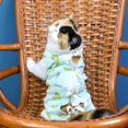 thumbnail image 2 of Ropa de rehabilitación para mascotas (XL), ropa postoperatoria, cirugía para gatos, traje de recuperación, accesorios antilamer para cachorros, perros pequeños y gatos, 2 of 5