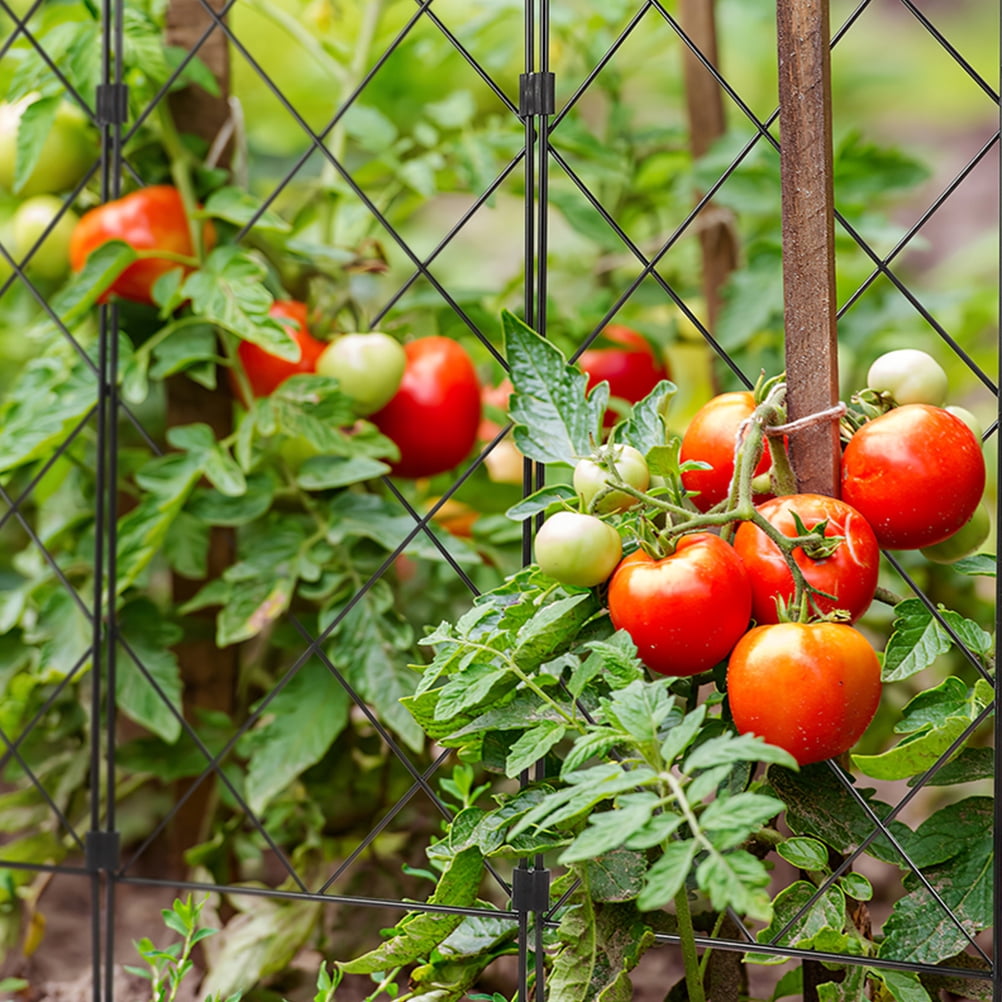 unbranded 2pcs Practical Garden Climbing Plants Support Rack Iron Tomatoes Cages for Garden