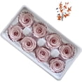 thumbnail image 4 of Rosa eterna de 4-5 cm, caja entera de 8 flores preservadas, bolsa de material de bricolaje, cubierta de vidrio para flores colgantes para automóvil, 4 of 5