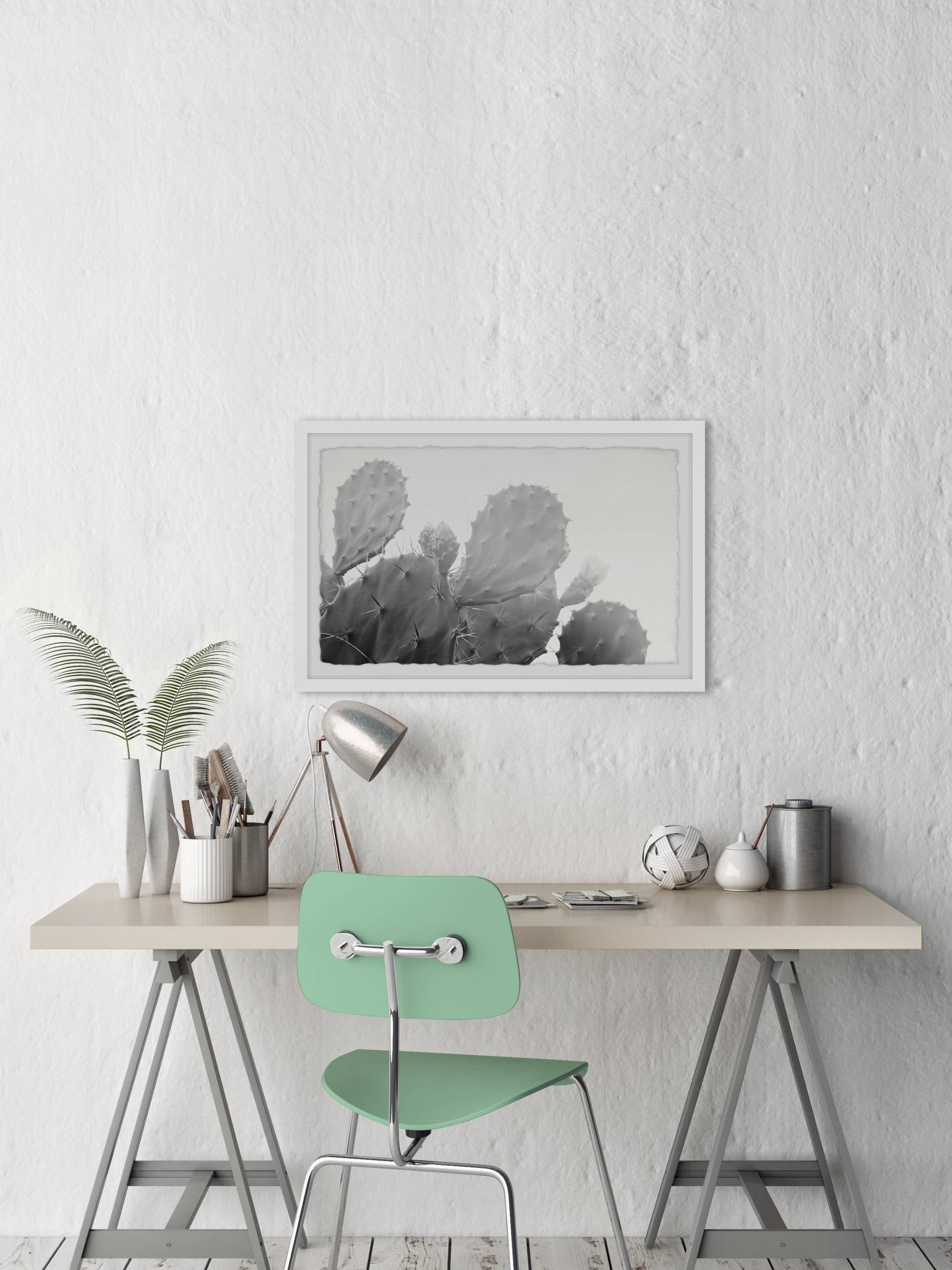 Marmont Hill Grey Cactus Framed Wall Art, 36.00" x 1.50"