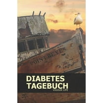 Diabetes Tagebuch : Blutzucker und Insulin im Blick behalten für mehr als 100 Tage - Klein & Kompakt ca. A5 (Paperback)