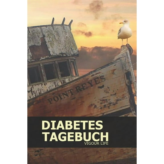 Diabetes Tagebuch : Blutzucker und Insulin im Blick behalten für mehr als 100 Tage - Klein & Kompakt ca. A5 (Paperback)