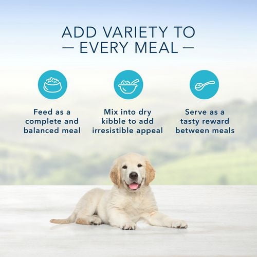 Blue Buffalo Life Protection Formula Puppy Chicken Dry Dog Food with training dog treats and Puppy wet food Value Bundle