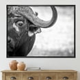 thumbnail image 2 of Designart 'Black and White Portrait Of Buffalo III' Farmhouse Framed Canvas Wall Art Print, 2 of 5
