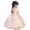 Rose Gold, variant on Girl Dress Children's Wedding Dress Flower Girl Dress Piano Performance Dress Dress