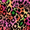 Creative Cuts Cotton 44" wide, 2 yard cut fabric - Cheetah, Multi-Color Bright