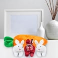 thumbnail image 2 of B Carrot Bag Toy Set With 3 Rabbit Dolls Unzip Decor For Easter Gift Soft Plush Play, 2 of 3