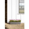 View all media