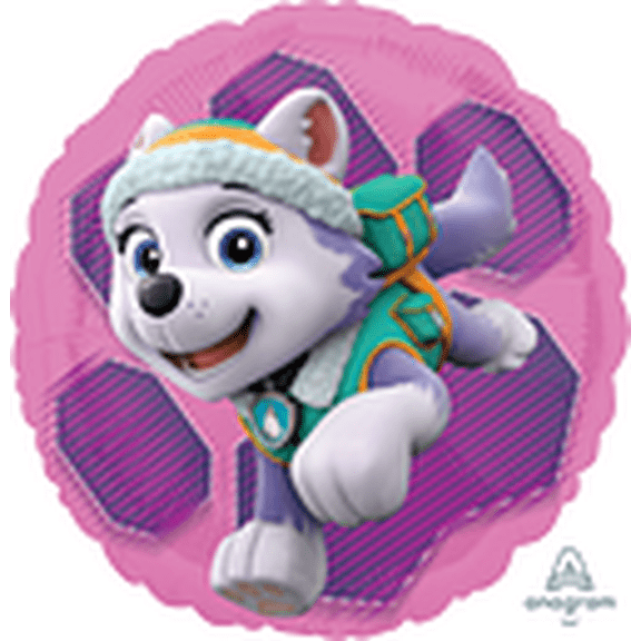 18C HX PAW PATROL SKYE & EVEREST