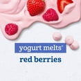 thumbnail image 3 of Gerber 2nd Foods Organics for Baby Yogurt Melts, Red Berries, 1 oz Bag, 3 of 15