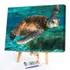 thumbnail image 2 of Wdftyju Pintado a mano sobre lienzo DIY pintura al óleo de tortuga marina por números Kit de dibujo adornos Wdftyju 6lg3ms5pn5zv8tp1, 2 of 9