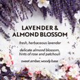 thumbnail image 4 of Air Wick Essential Mist Fragrance Oil Diffuser Refill, Lavender, Air Freshener, 4 of 5