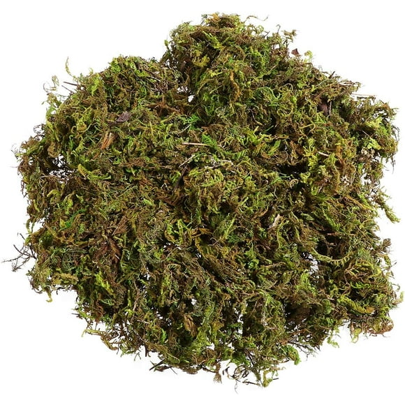 Hongkaii 60g Artificial Moss Lichen, Artificial Plants Fake Moss Preserved Simulation Green Plants Faux Moss Lifelike Forest Moss for Decoration Garden Patio 60g AZ725-27323