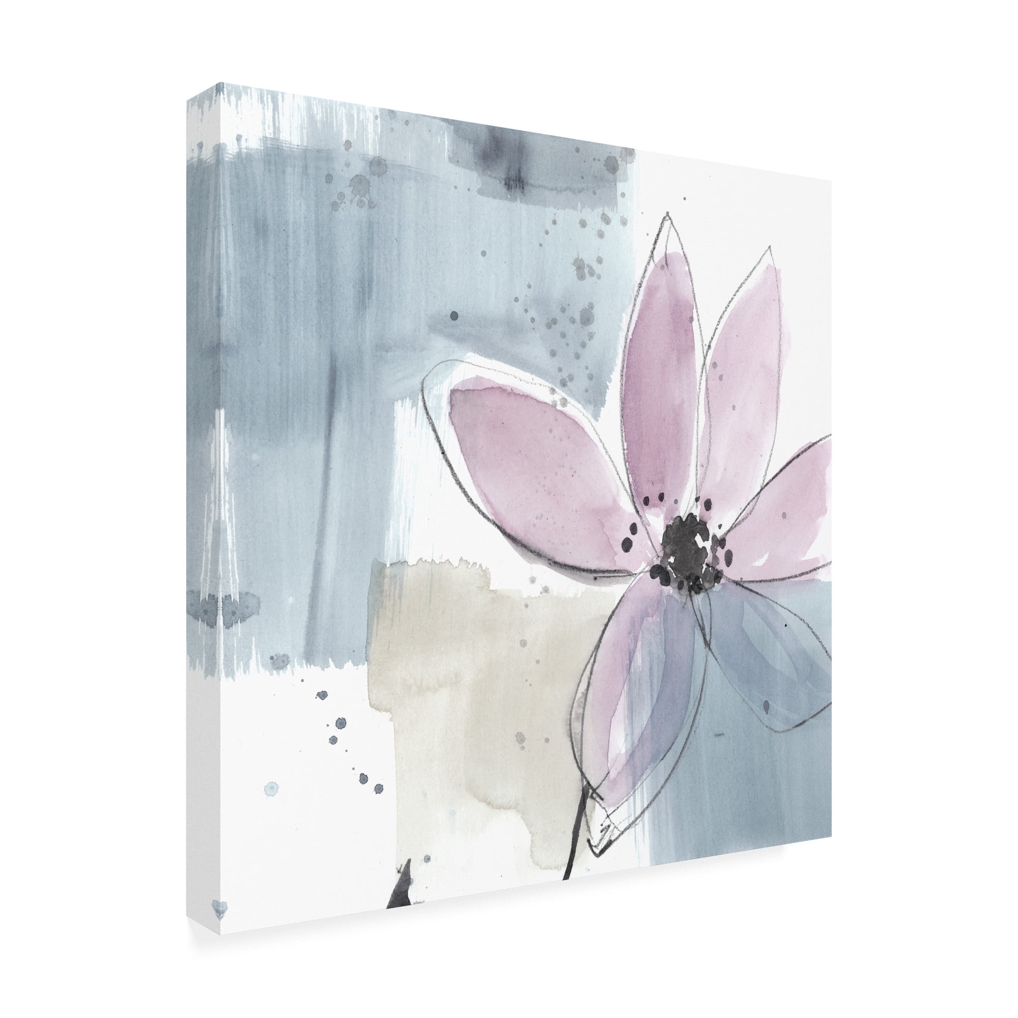 Trademark Fine Art 'UA CH Blush Flower Splash VI' Canvas Art by Jennifer Goldberger