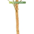 thumbnail image 4 of Nafresh 5ft Faux Olive Tree with Real Wood Trunk and Realistic Leaves, 60in Fake Olive Tree with Lifelike Fruits for Indoor Outdoor Decor, 4 of 9