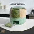 thumbnail image 5 of Thyme & Table 6 Section Rotating Plastic Food Storage Dispenser with Removable Drawer, Green, 5 of 9