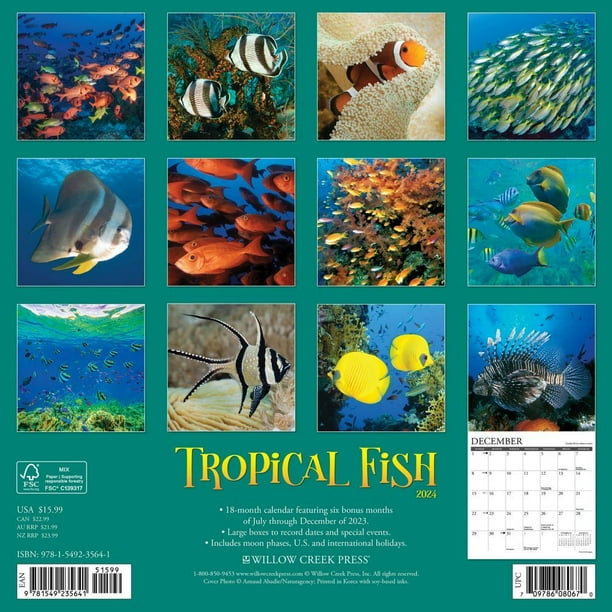Tropical Fish 2024 12 X 12 Wall Calendar (Calendar) 