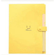 Fanvereka A4 Document Folder Organizer, 5 Pockets Buckle Closure Expanding File Organizer