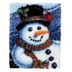 thumbnail image 1 of Kit de alfombra navideña con gancho para adultos, DIY, sastrería, multicolor, muñeco de nieve, Navidad Monigote de nieve, 1 of 9