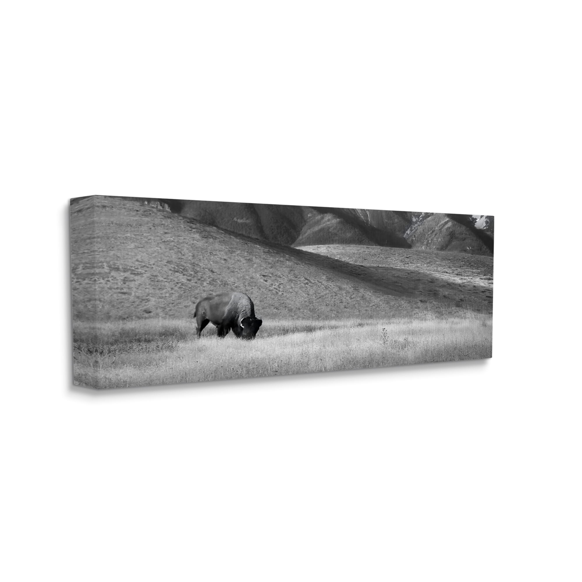 Stupell Industries Bison with Mountain Peaks Landscape Photography Gallery Wrapped Canvas Art Print Wall Art, 24 x 10