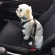 thumbnail image 5 of Correa de seguridad para perros, amortiguación retráctil ajustable, correa elástica para mascotas, cinturón de seguridad para coche, cuerda de seguridad, cuerda de remolque, 5 of 5