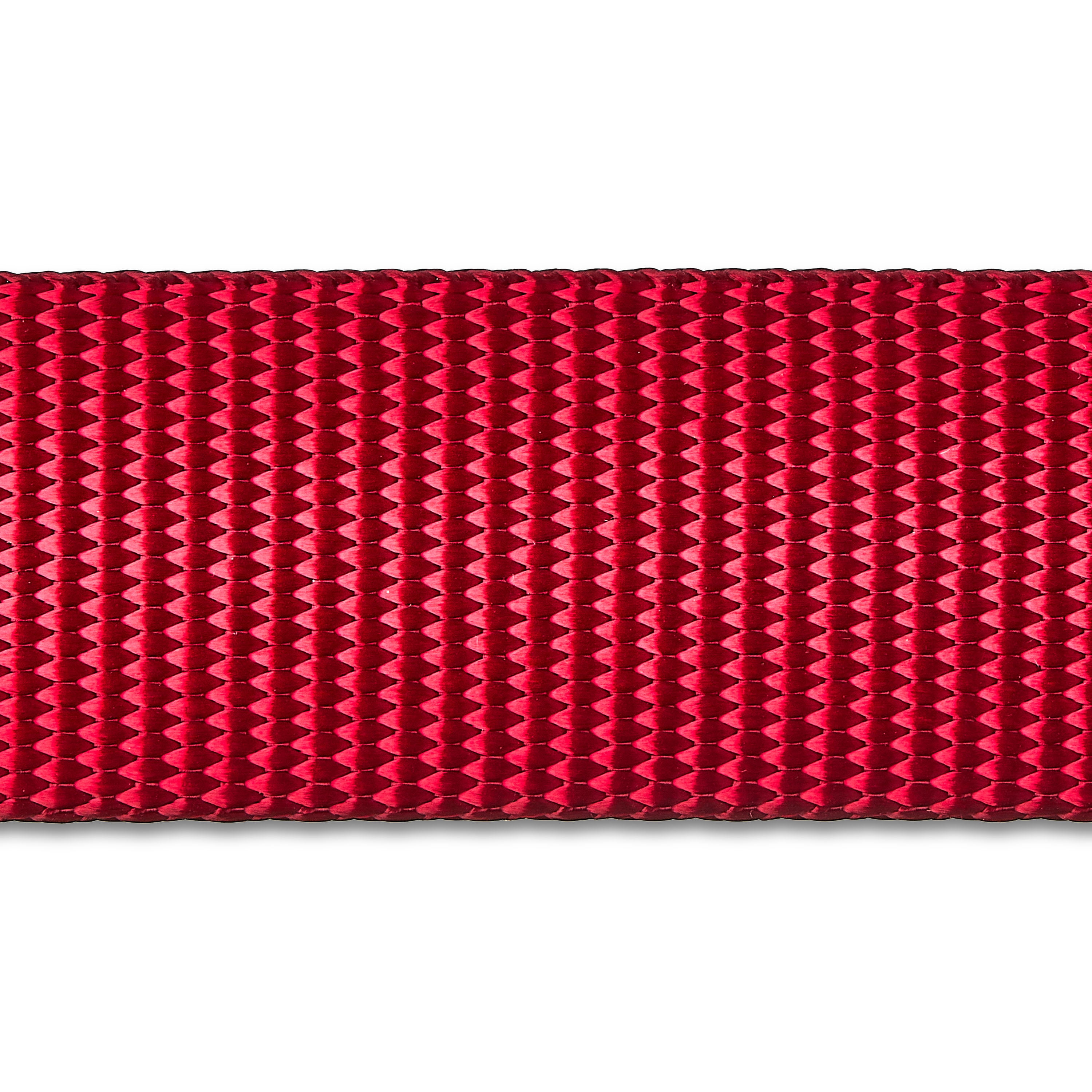 (2 pack) Vibrant Life 6 ft Solid Polyester Leash, Red, Medium / Large