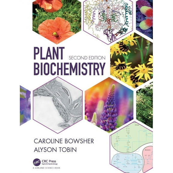 Plant Biochemistry (Paperback)