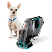 Pet Stain Eraser™ PowerBrush Plus Portable Carpet Cleaner