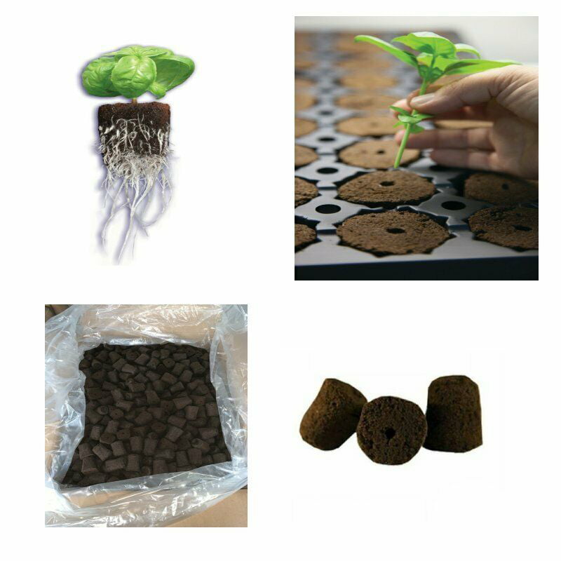 Details about   10 General Hydroponics Rapid Rooter Plugs For Fast Root Growth 10 Count GH 