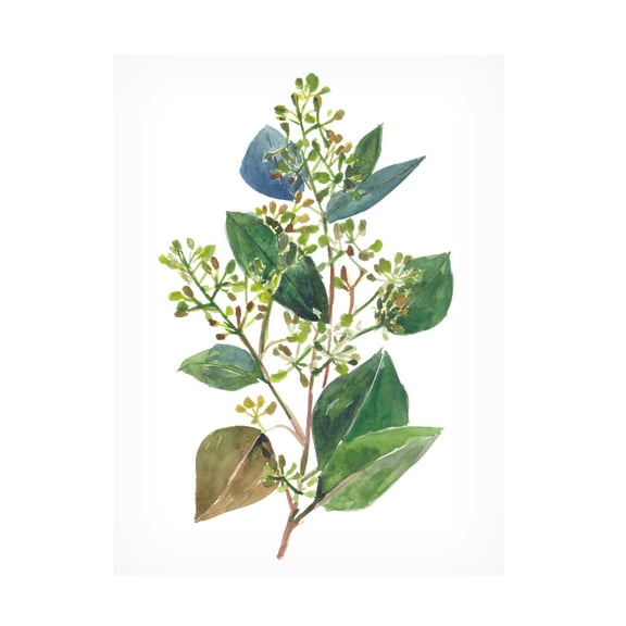 Melissa Wang 'Seeded Eucalyptus II' Canvas Art