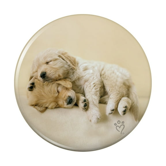 Golden Retriever Puppies Dogs Friends Sleeping Kitchen Refrigerator Locker Button Magnet
