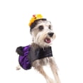 thumbnail image 1 of Disfraz Catrina P/Perro Talla 00 Color Morado/Negro Pet Pals Pet Pals CATR00, 1 of 6