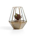 thumbnail image 1 of Danya B Diamond Shape Brass and Glass Terrarium, 1 of 1