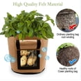 thumbnail image 3 of 3 bolsas para cultivo de patatas, bolsa para plantar en jardín, tela no tejida con asas, bolsa para plantas con ventana para patatas, fresas, tomates, flores, 3 of 5
