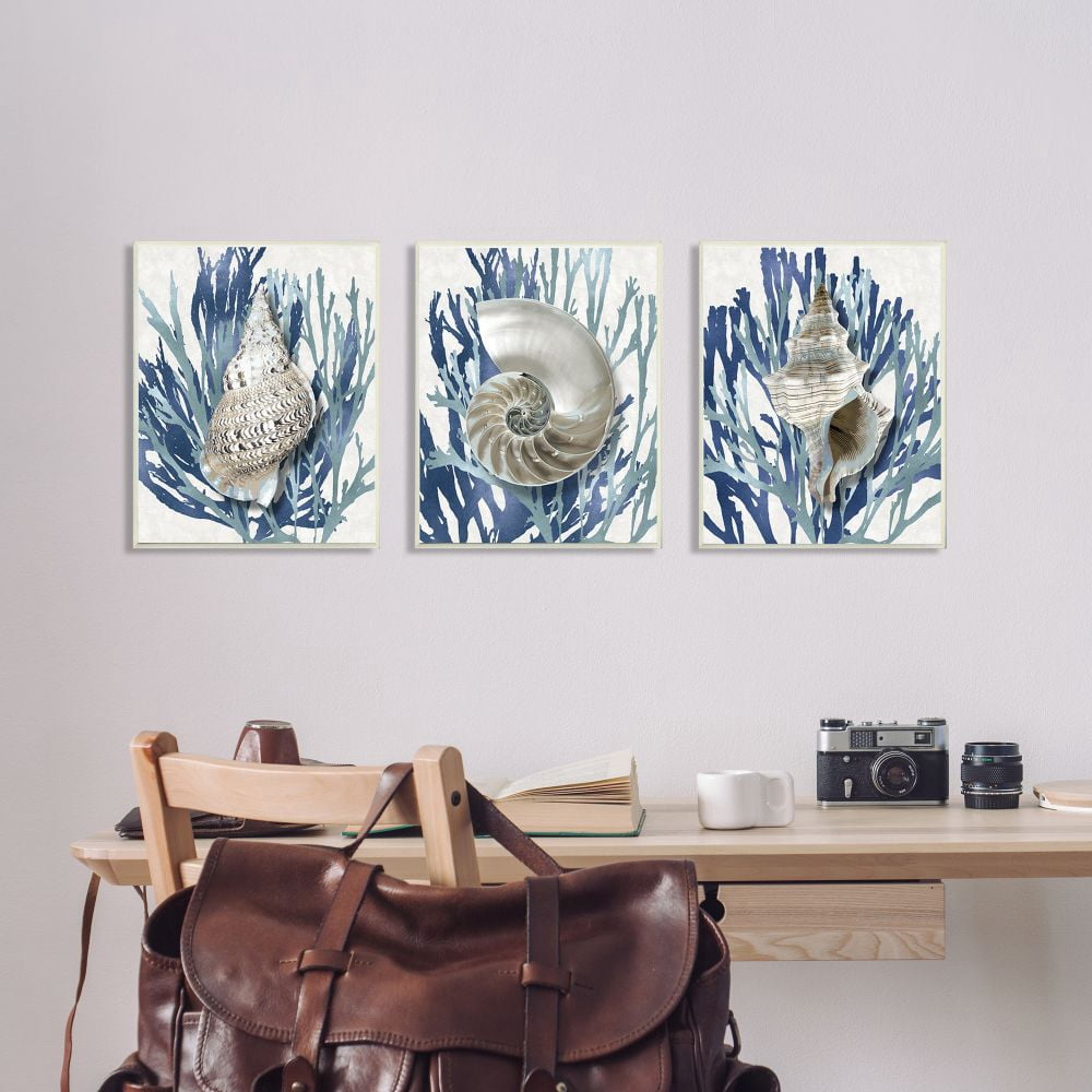 Stupell Industries Trio of Shell Coral Blue Beach Design Canvas Wall Art by Caroline Kelly