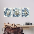 thumbnail image 2 of Stupell Industries Trio of Shell Coral Blue Beach Design Wall Plaque by Caroline Kelly, 2 of 6