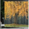 thumbnail image 4 of Ambesonne Fall Shower Curtain, Leaves Tree Autumn Season, 69"Wx70"L, Earth Yellow Brown, 4 of 5