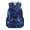 Blue Lightning, variant on chaqlin Cartoon Ladybug Kids Backpack for Girls Large Capacity 17 Inch Bookbag Elementary Preschool Daypack with Side Pocket for Travel Camping Outdoor