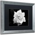 thumbnail image 2 of Trademark Fine Art "Gardenia in Black and White" Canvas Art by Kurt Shaffer, Black Matte, Silver Frame, 2 of 4