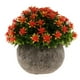 thumbnail image 5 of Flor de Simulación Bonsai Tree Planta de Hojas Artificiales con Maceta - naranja BLESIY Flor en maceta de Gypsophila falsa, 5 of 8