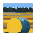 thumbnail image 3 of "Modern Bales of Hay" - Canvas, 3 of 25