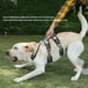 thumbnail image 4 of ArnéS para Perros Grandes a Prueba de Explosiones con Asa, Correas de Pecho Ajustables y Duraderas para Perros Grandes, Gris, L, 4 of 5
