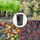 thumbnail image 2 of 20 Pack Tall Tree Pots For Indoor Outdoor Gardening-premium Thickened Deep Nursery Planting Basin With Drainage Hole Nutrition Cup-for Trees, 2 of 5