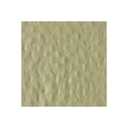 Georgia-Pacific Brawny Industrial Dusting Wipe