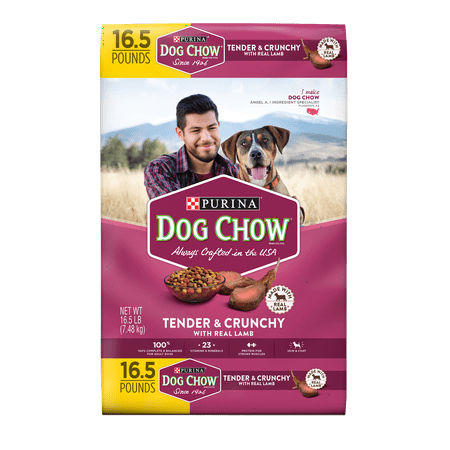 Purina Dog Chow Healthy Morsels Dog Food Bonus Size 18 lb.