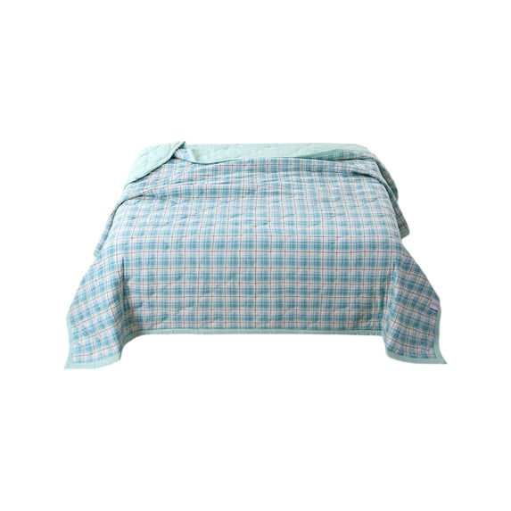 Summer Quilt Queen Size, Comforter for Summer, Lightweight Comforter Bedspread Blanket, Soft Bed Suitable for Bedrooms, Green