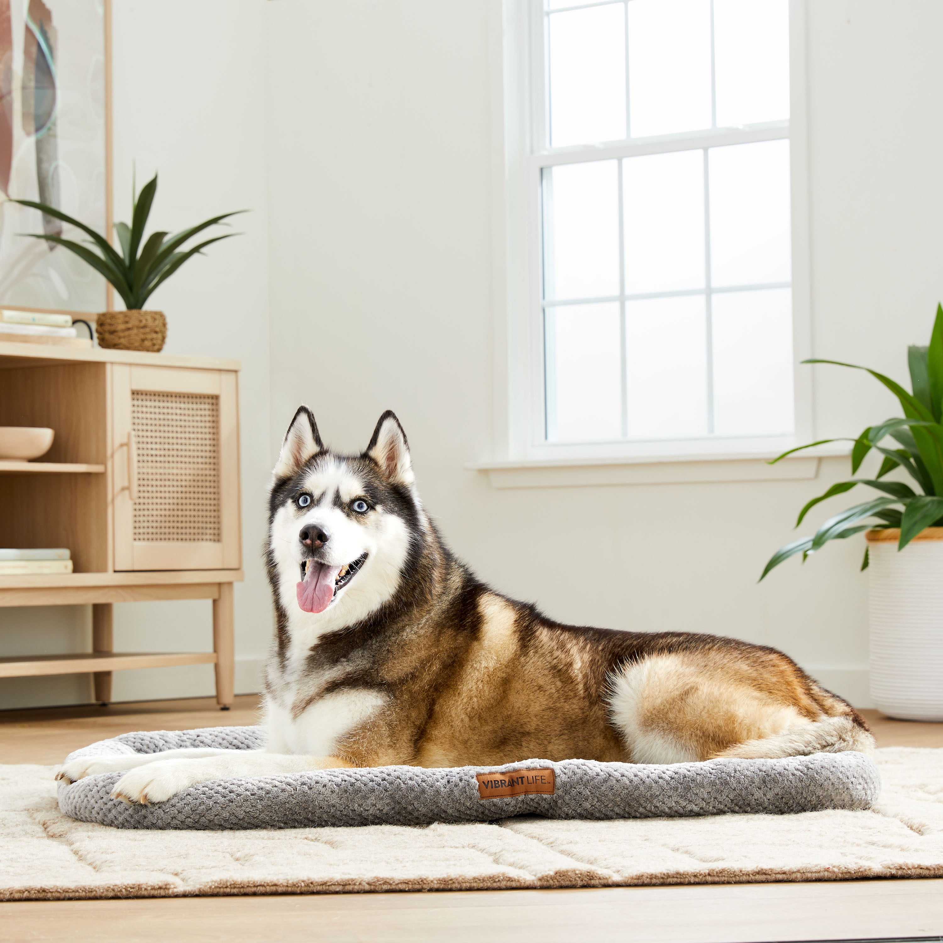 (4 pack) Vibrant Life Large Soft Cozy Crate Mat, Gray, 42 in x 27.5 in