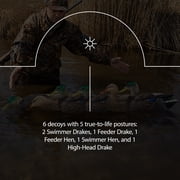Avian X Topflight Early Season Mallard Duck Realistic Decoy, 18 Pack