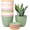 Colorful, variant on Plant Pots, 12 Pack 6 inch Modern Plastic Planters with Drainage Holes and Saucers for Indoor Outdoor Plants and Flowers, Black